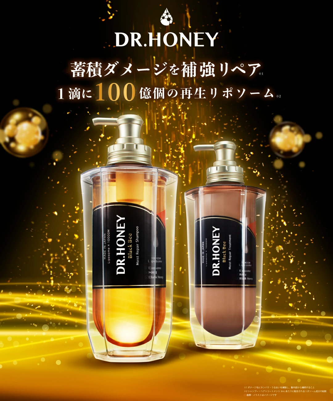 ●【姫路初導入】DR.HONEY Black Bee
