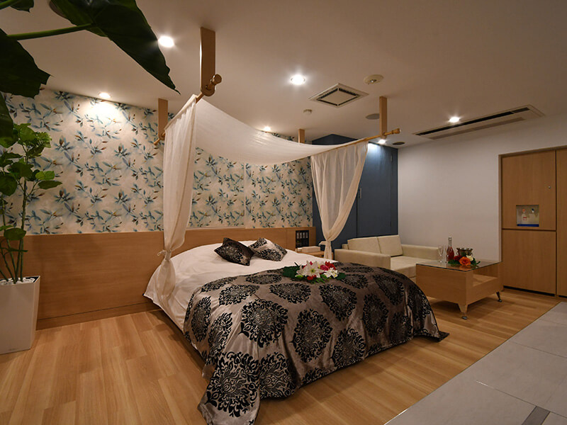 Room:204